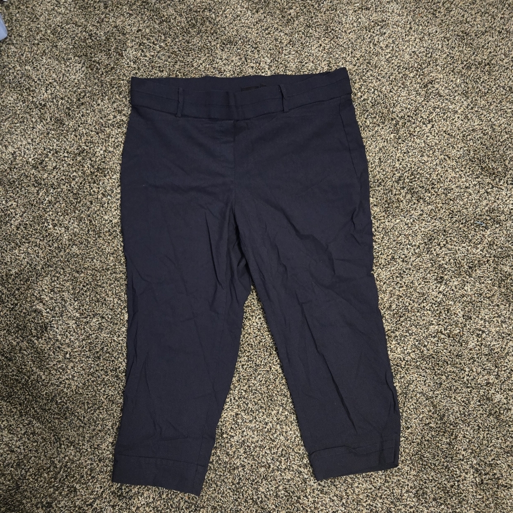 Rafaella Brand Navy Blue 20W Women's Capris, Great Condition